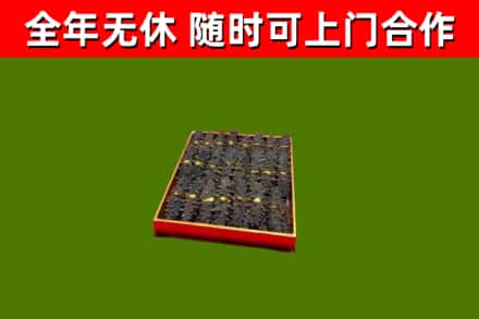 长宁回收海参